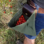 foraging pouch