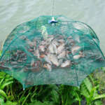 fishing trap