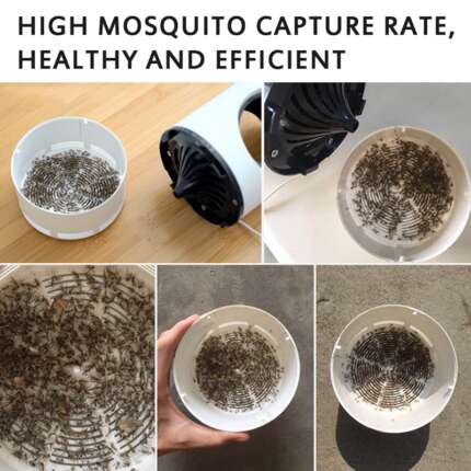 mosquito trap lamp