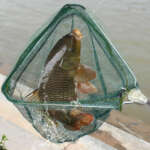 telescopic landing net