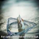 telescopic landing net