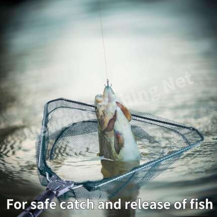 telescopic landing net
