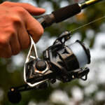 spinning fishing reel