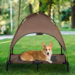 elevated dog cot
