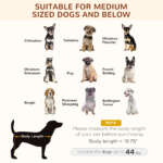 elevated dog bed with canopy