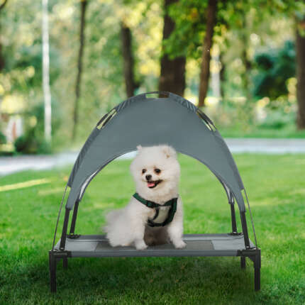 elevated dog bed with canopy