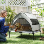 elevated dog bed with canopy