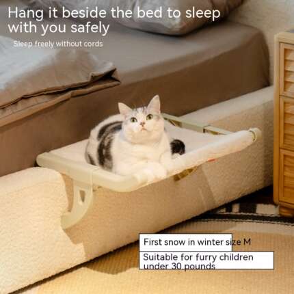 cat hanging hammock