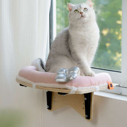 window cat hammock