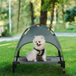 elevated dog bed