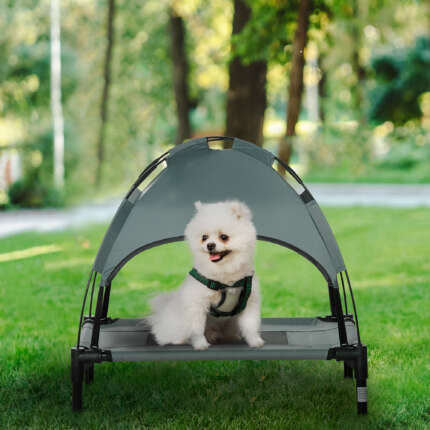 elevated dog bed