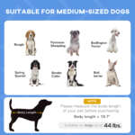 elevated dog cot bed