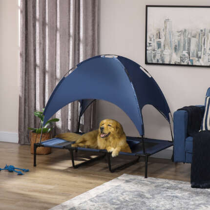 elevated dog cot
