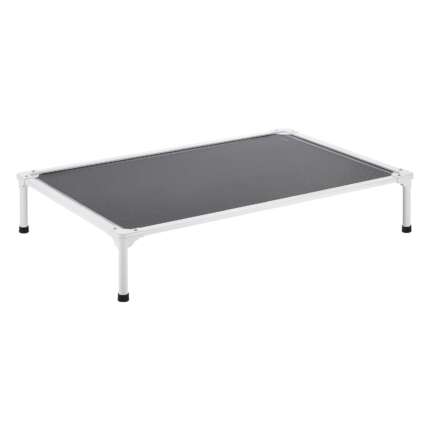 elevated dog bed