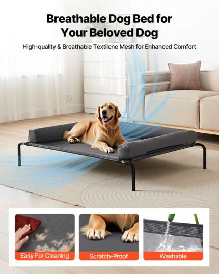 elevated dog bed for large dogs