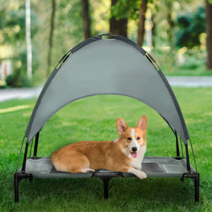 elevated dog bed