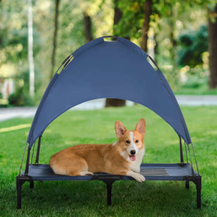elevated dog cot bed