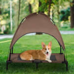 elevated dog cot bed