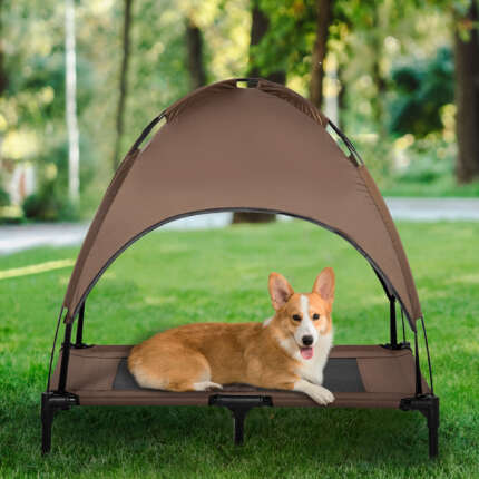 elevated dog cot bed
