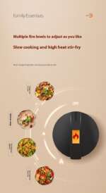 portable gas stove