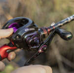 baitcasting reel