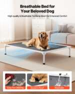 elevated dog bed