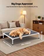 elevated dog bed