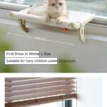 cat hanging hammock