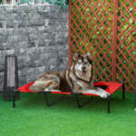 elevated dog bed