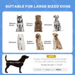 elevated dog cot bed