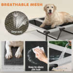 elevated dog bed with canopy