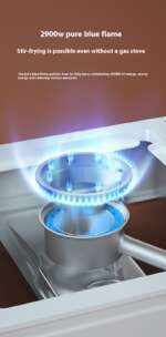 portable gas stove