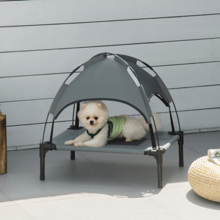elevated dog cot bed