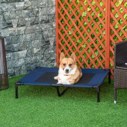 elevated dog cot bed