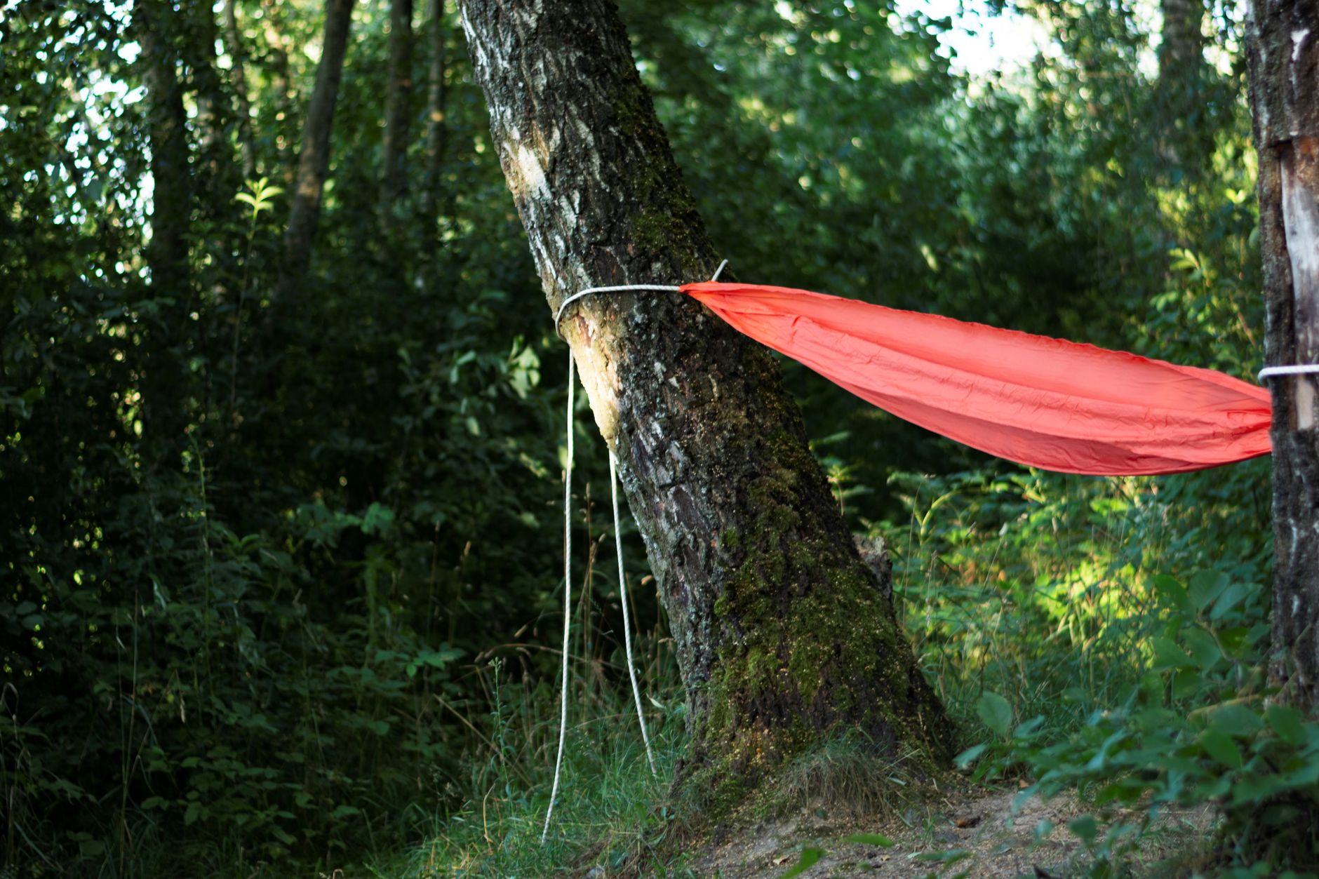 hammock chair for camping
