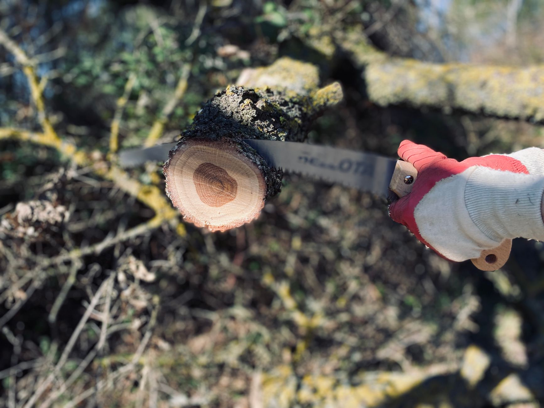 hand saw for bushcraft