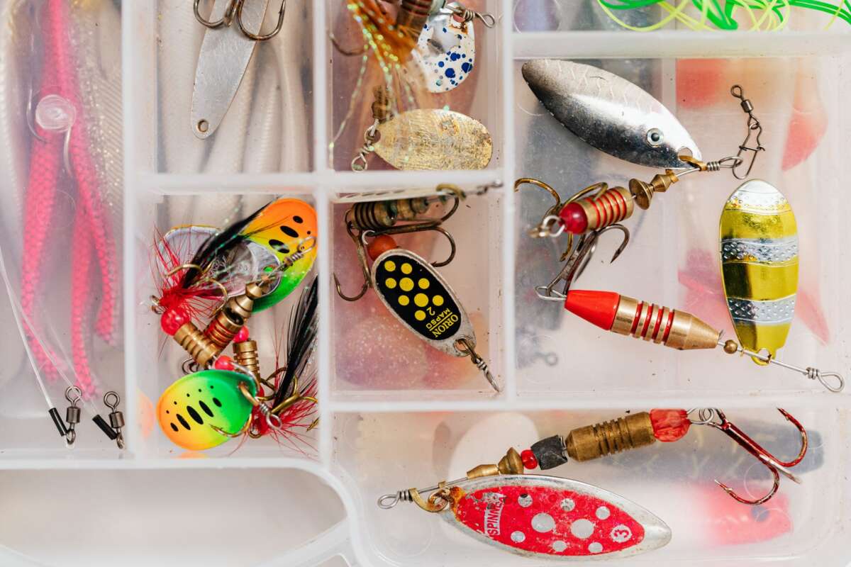 tackle organization