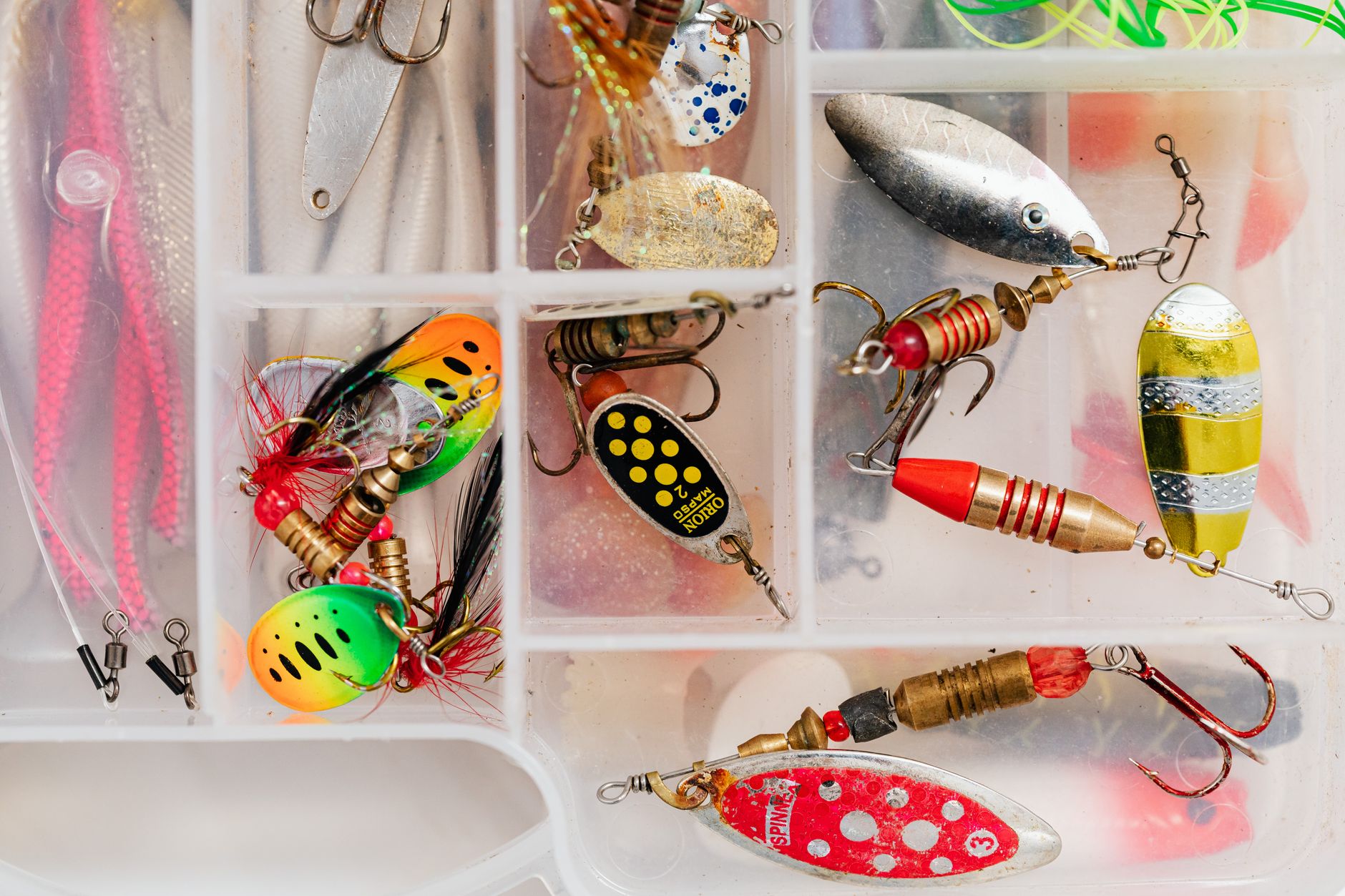 tackle organization