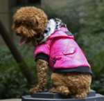 dog winter coat