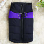 dog winter coat