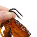 soft crab bait
