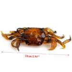 soft crab bait