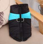 dog winter coat