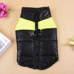 dog winter coat