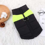 dog winter coat